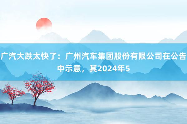 广汽大跌太快了：广州汽车集团股份有限公司在公告中示意，其2024年5