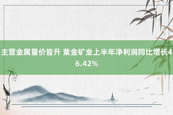 主营金属量价皆升 紫金矿业上半年净利润同比增长46.42%