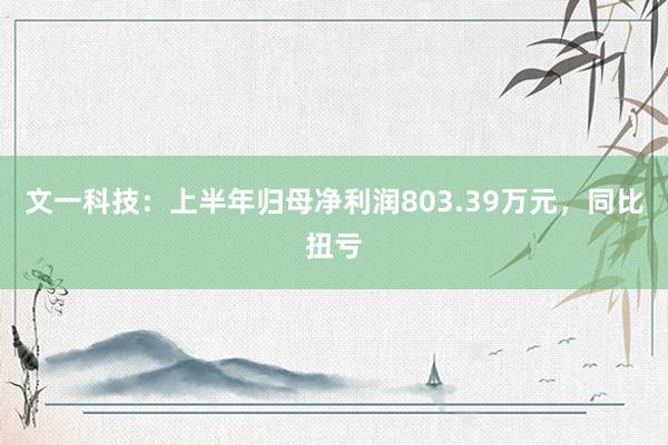 文一科技：上半年归母净利润803.39万元，同比扭亏