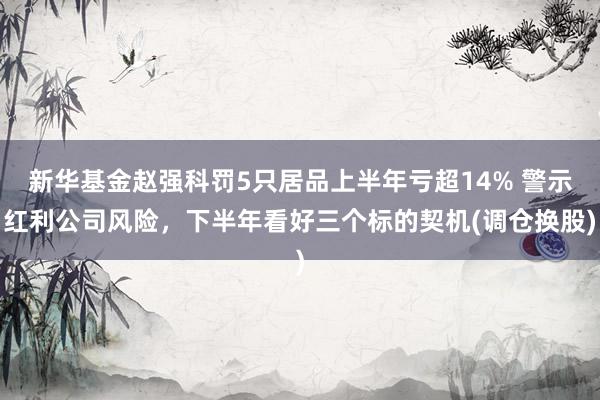 新华基金赵强科罚5只居品上半年亏超14% 警示红利公司风险，下半年看好三个标的契机(调仓换股)