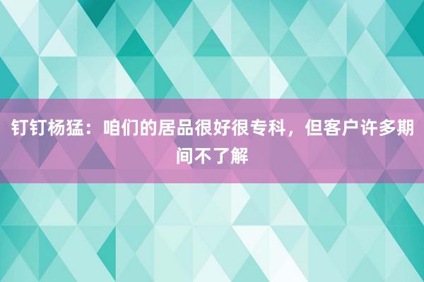 钉钉杨猛：咱们的居品很好很专科，但客户许多期间不了解