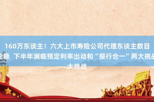 160万东谈主！六大上市寿险公司代理东谈主数目企稳  下半年濒临预定利率出动和“报行合一”两大挑战