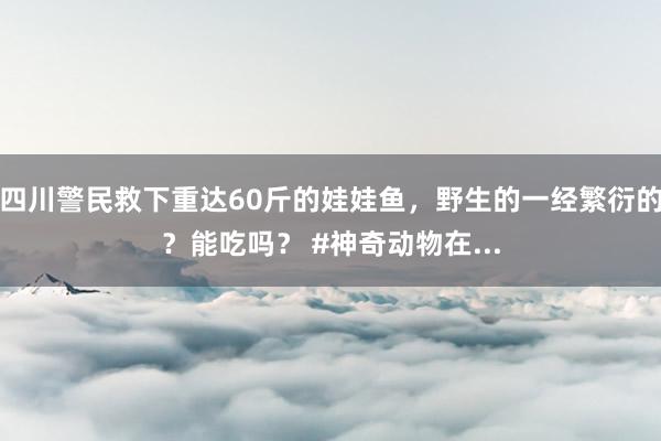 四川警民救下重达60斤的娃娃鱼，野生的一经繁衍的？能吃吗？ #神奇动物在...