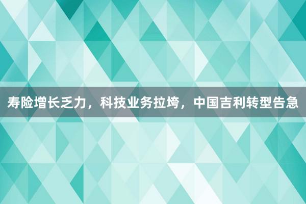 寿险增长乏力，科技业务拉垮，中国吉利转型告急