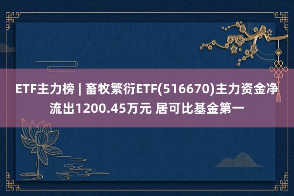 ETF主力榜 | 畜牧繁衍ETF(516670)主力资金净流出1200.45万元 居可比基金第一