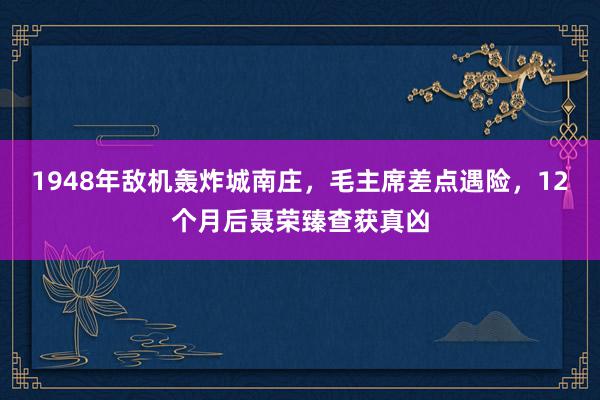 1948年敌机轰炸城南庄，毛主席差点遇险，12个月后聂荣臻查获真凶